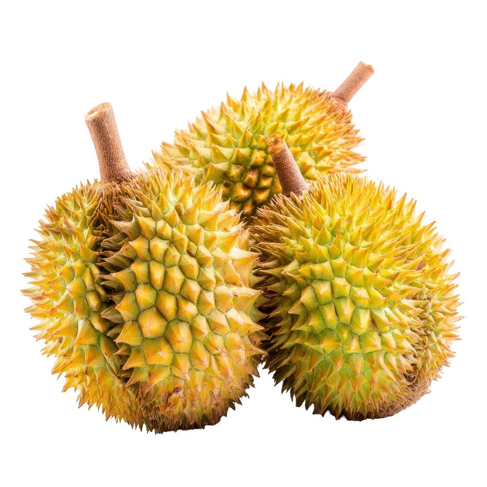 Durian 1 Box 2/3 Frutti ( Prodotto da ordinare )