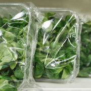 Verdure Confezionate