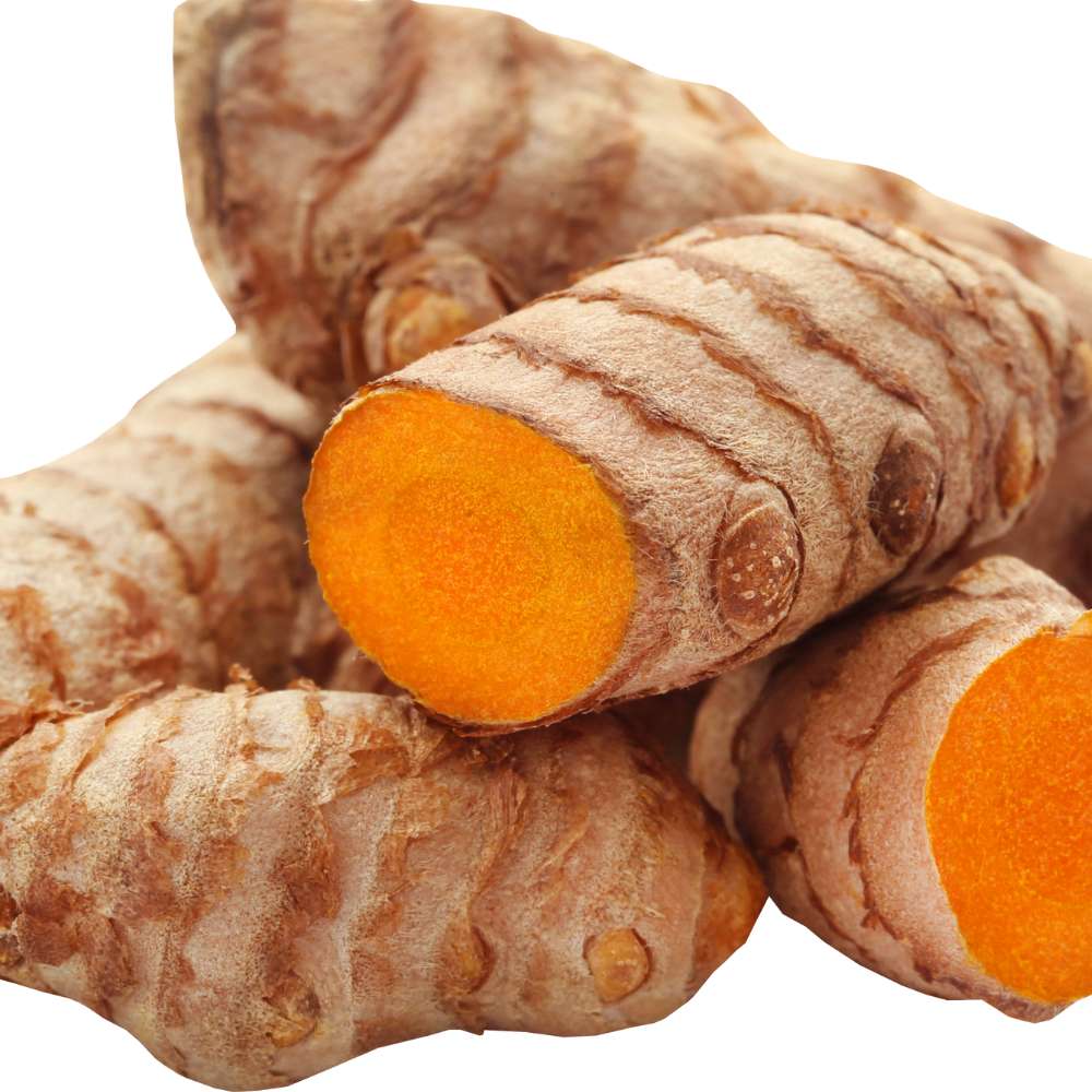 Curcuma