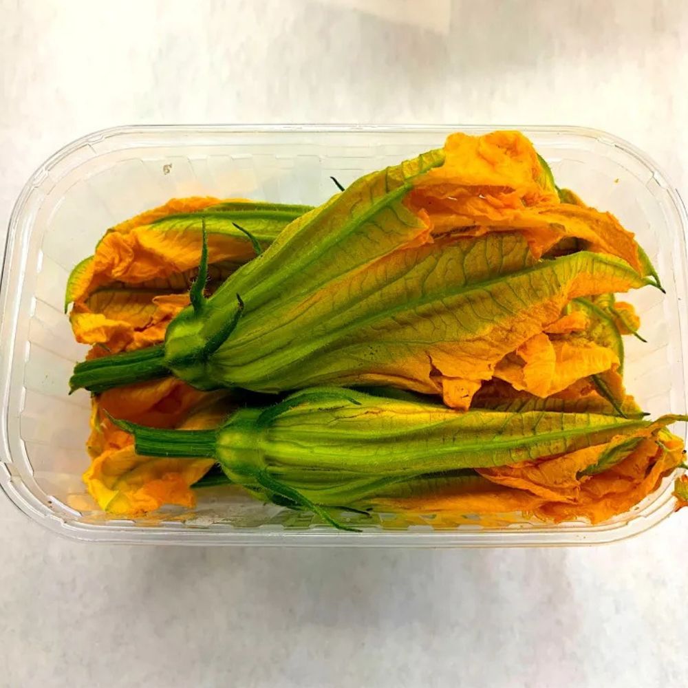 Fiori di Zucca