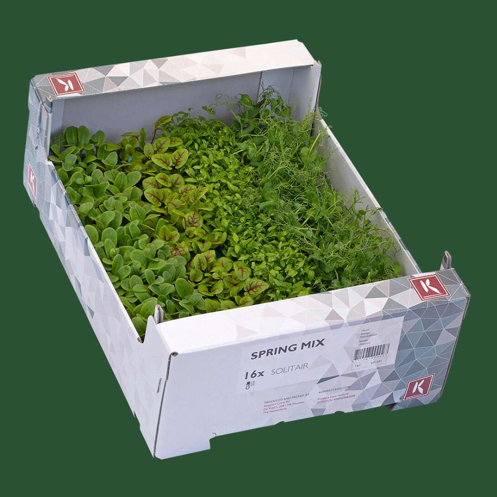 Microgreen Spring Mix