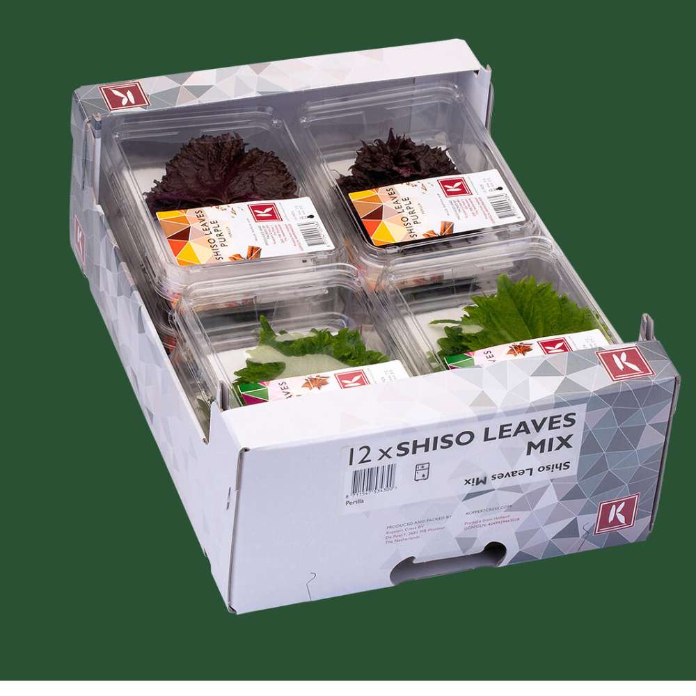 Microgreen shiso leaves mix
