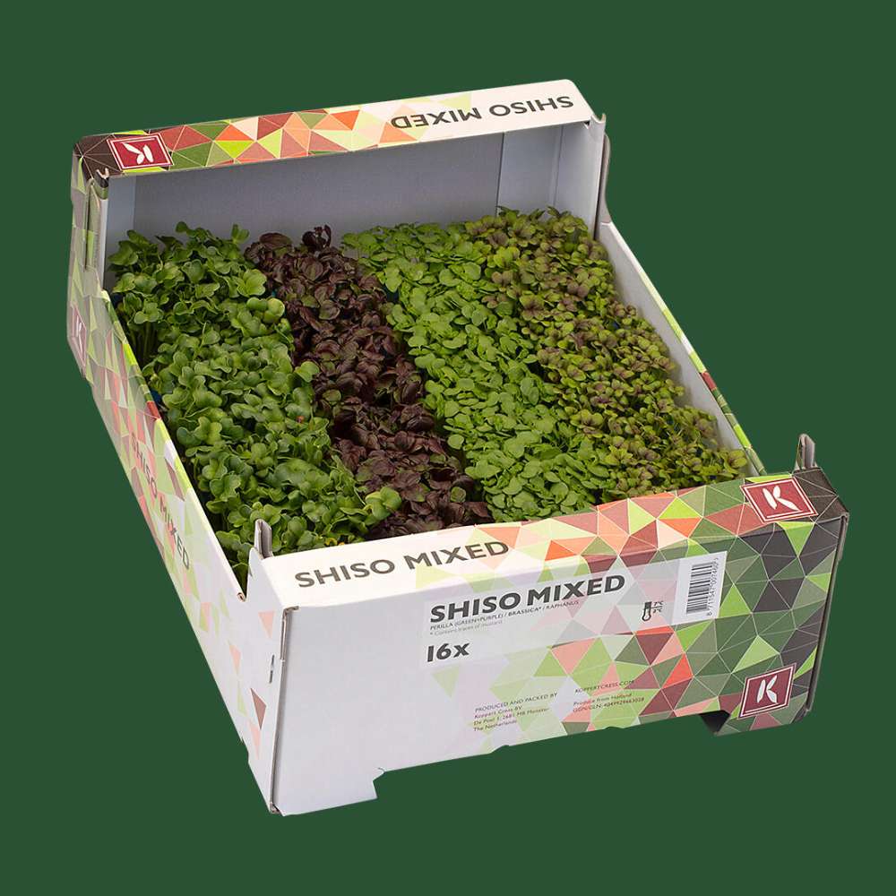 Microgreen Shiso Mixed