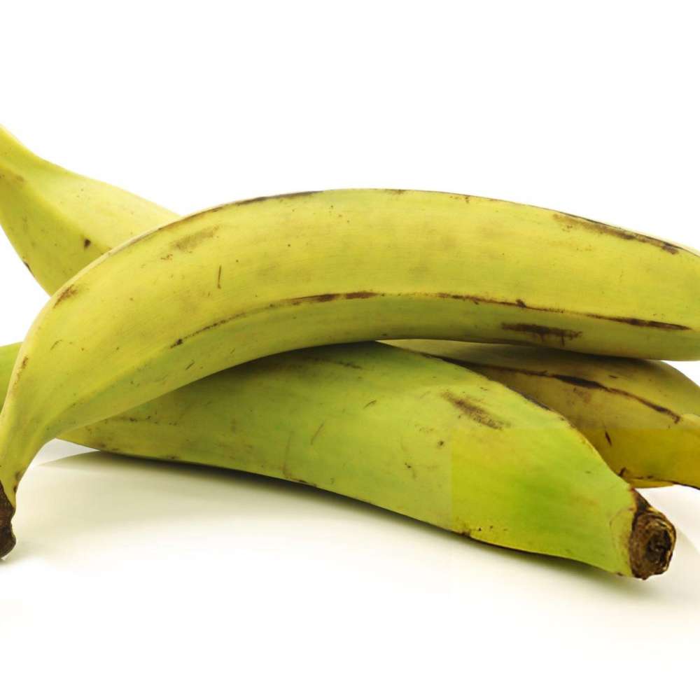 Platano