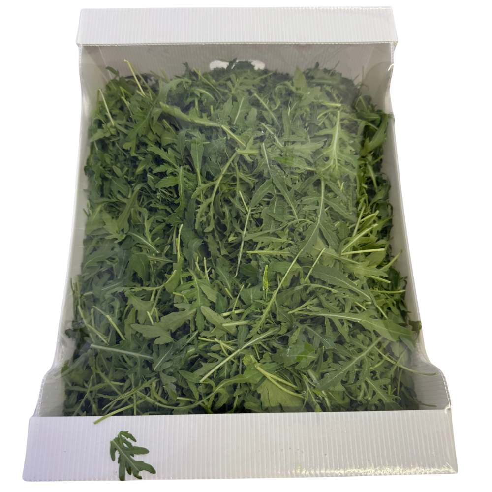Rucola 1 kg