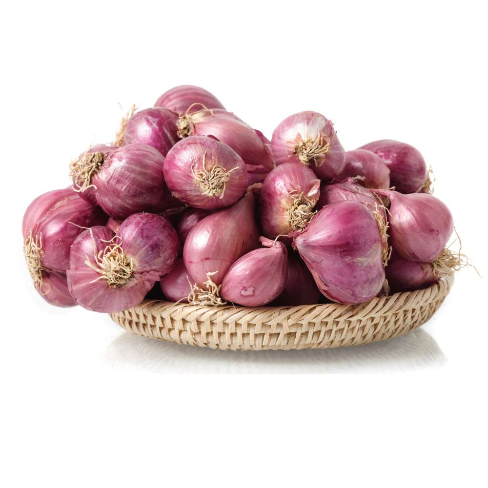 Scalogno
