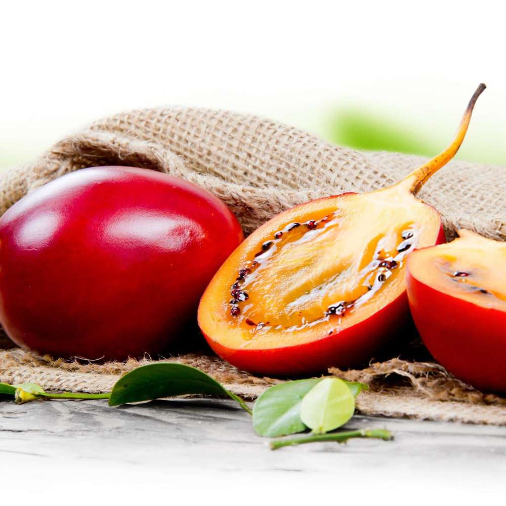 Tamarillo
